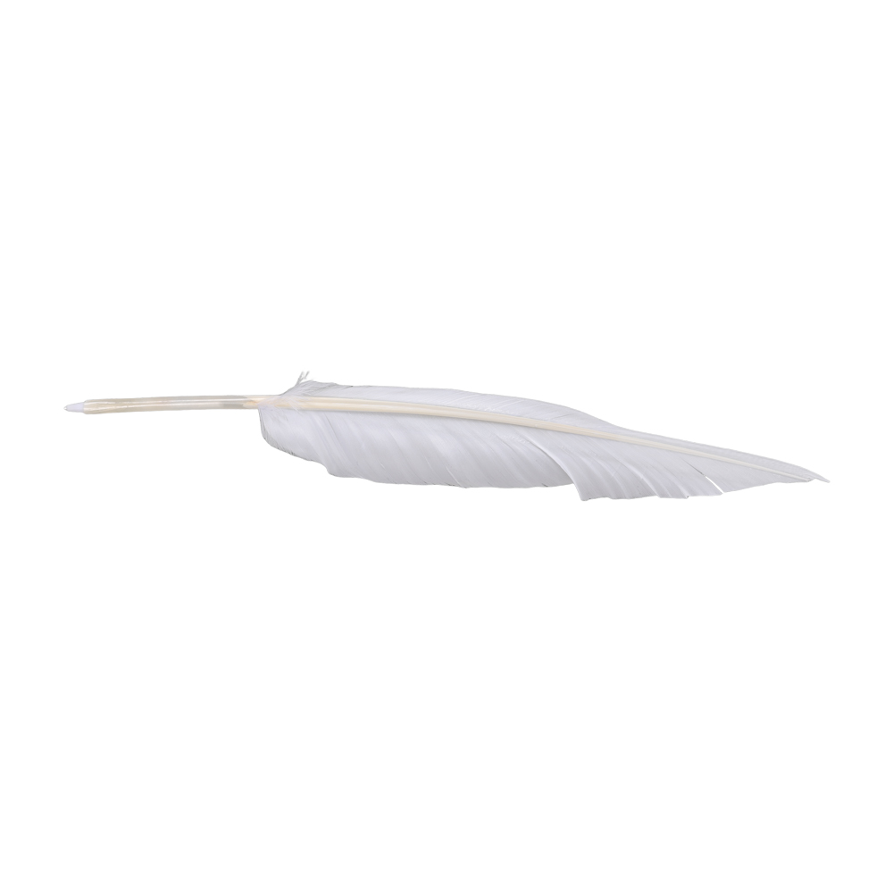 Anime Sousou z Frieren Cosplay – Frieren Cosplay Prop recenzja i cena
